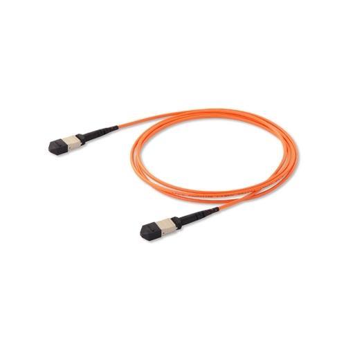 MPO/MTP Fiber Patchcord MM OM2 12 Fibers